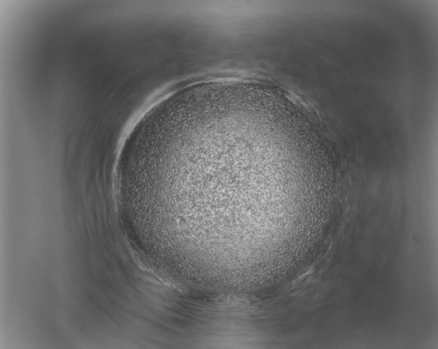 X0000052540343200507152138