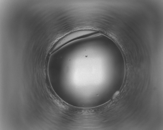 X0000052540345200507152138