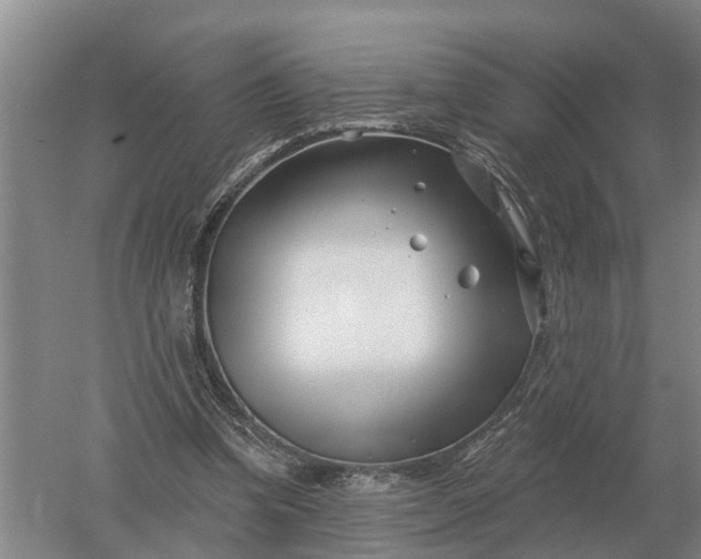 X0000052540346200507152138