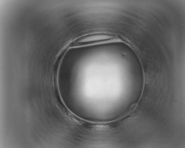 X0000052540347200507152138