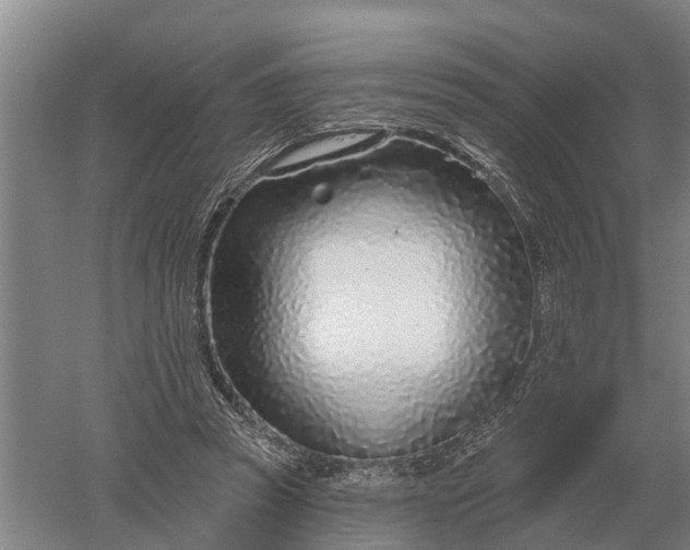 X0000052540353200507152139