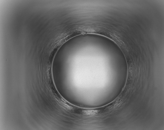 X0000052540359200507152139