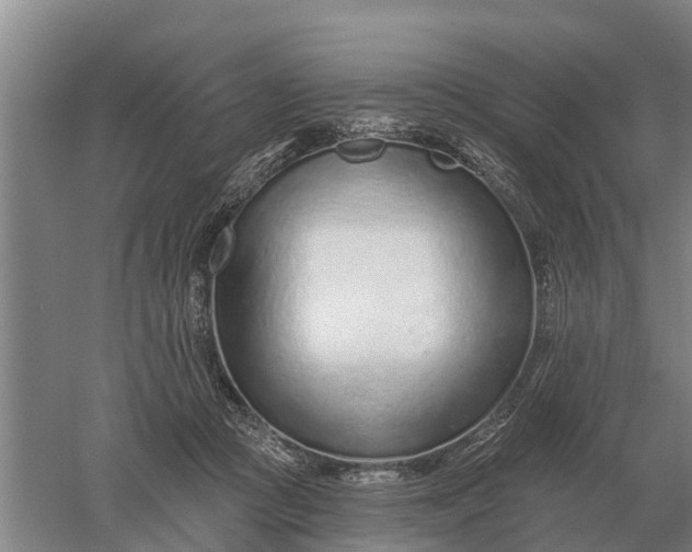 X0000052540361200507152139