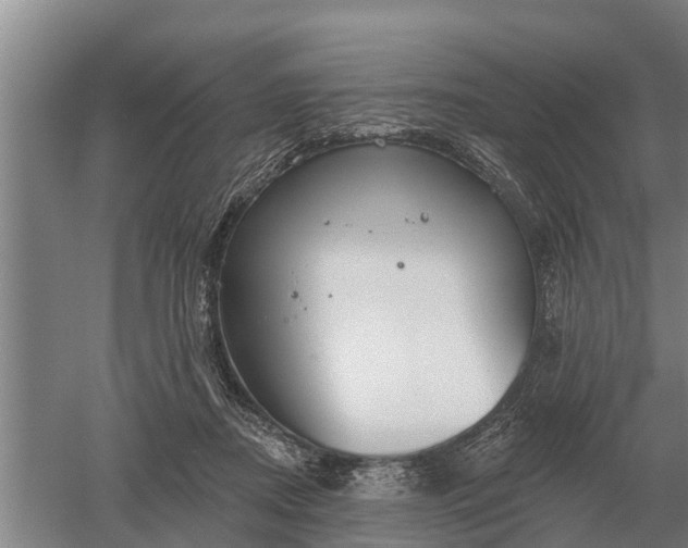 X0000052540362200507152139