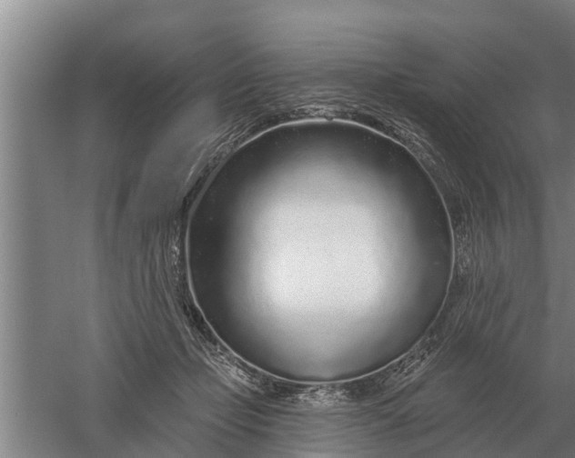 X0000052540365200507152139