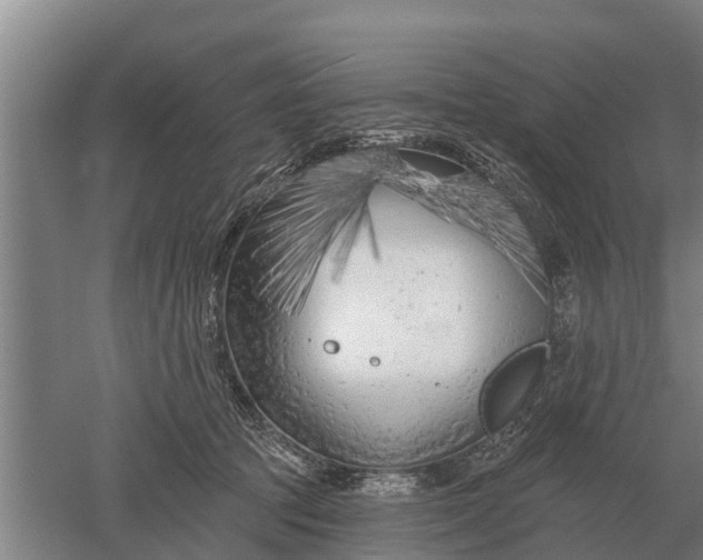 X0000052540369200507152139