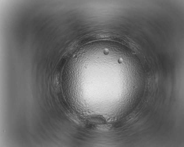 X0000052540373200507152139