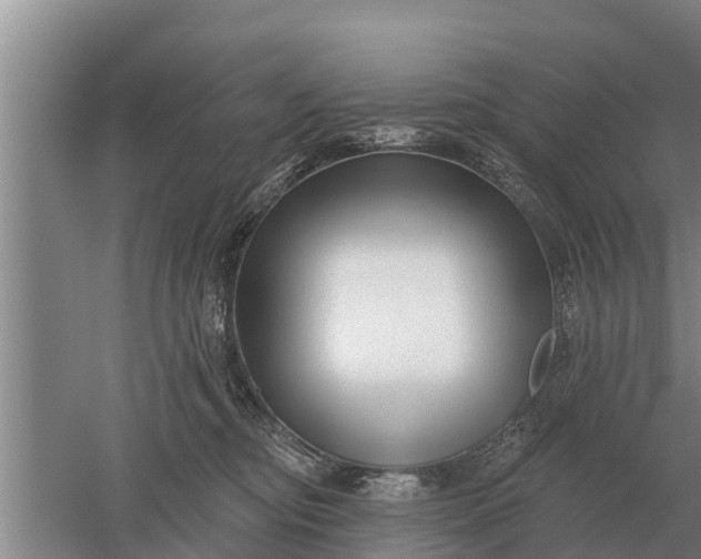 X0000052540374200507152139