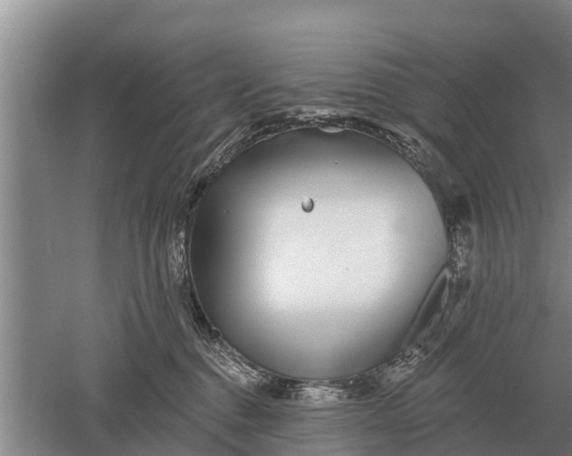 X0000052540376200507152139