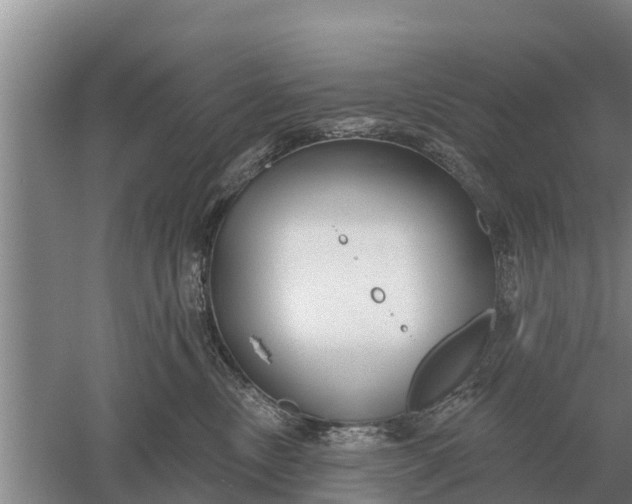 X0000052540378200507152139