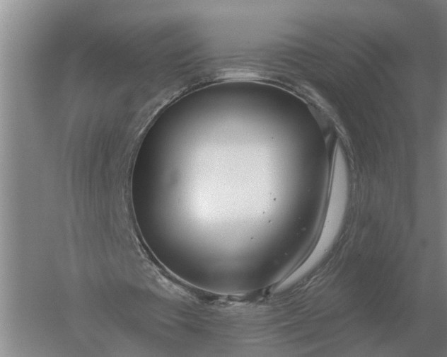 X0000052540385200507152138