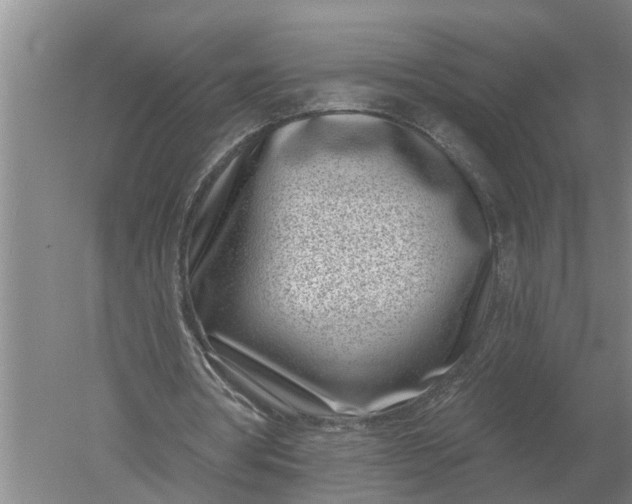 X0000052540386200507152138