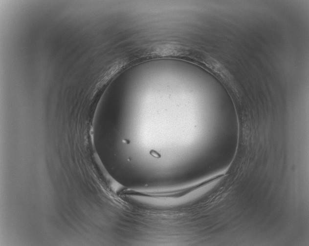 X0000052540393200507152138