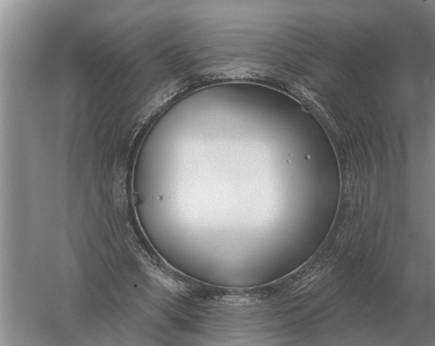 X0000052540394200507152138