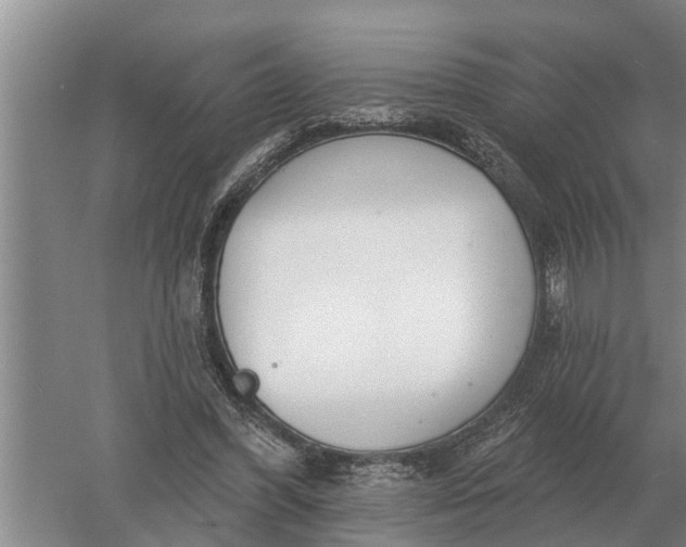 X0000052540396200507152138