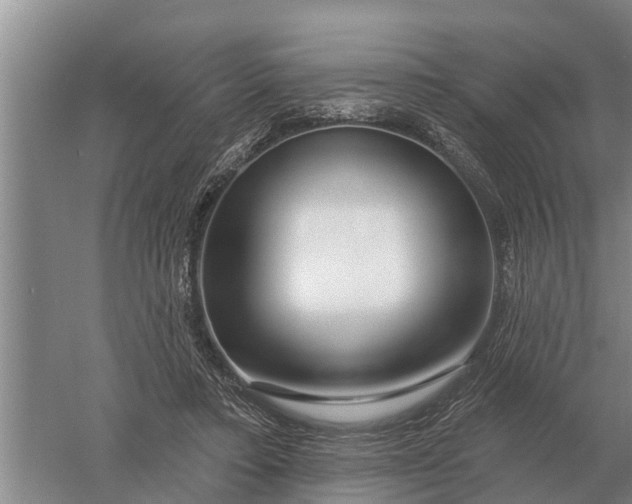 X0000052540403200507152138