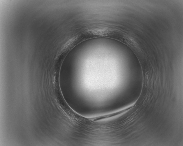 X0000052540404200507152138