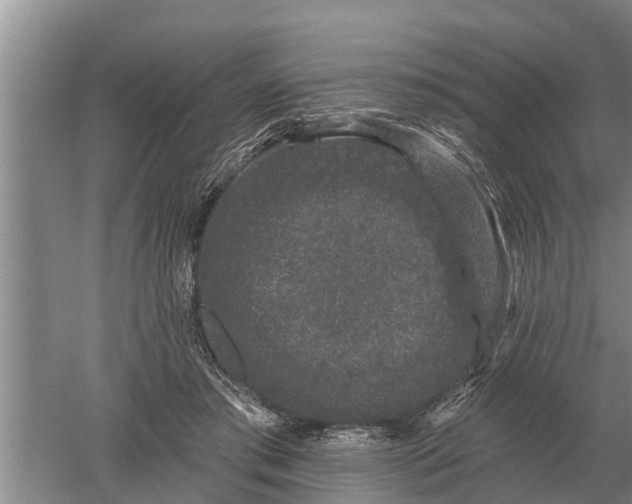 X0000052540405200507152138