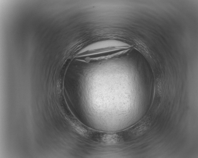 X0000052540410200507152138