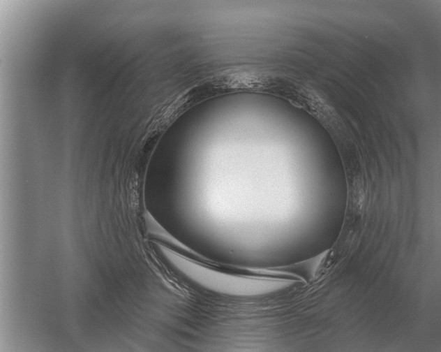 X0000052540413200507152138