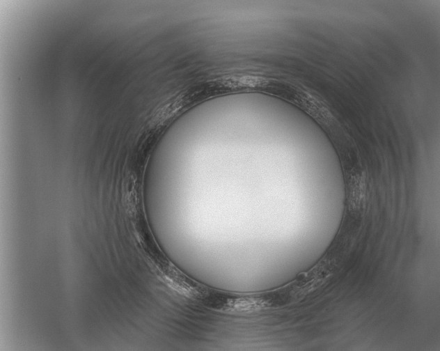 X0000052540414200507152138