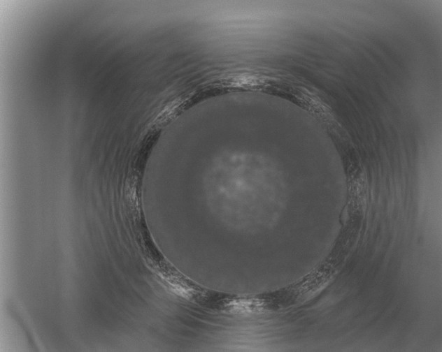 X0000052540415200507152138