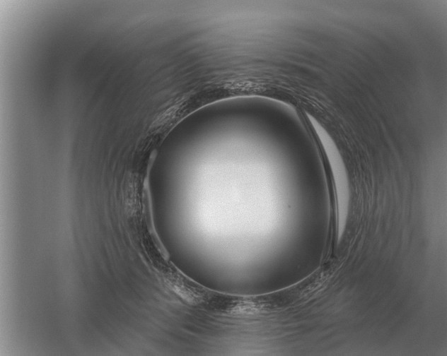 X0000052540416200507152138