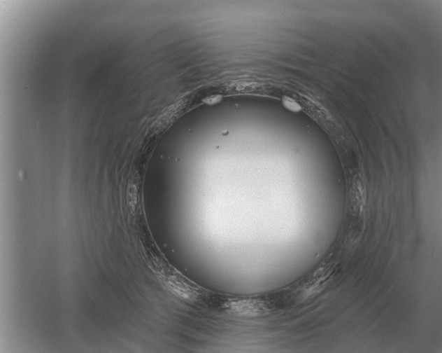 X0000052540417200507152138