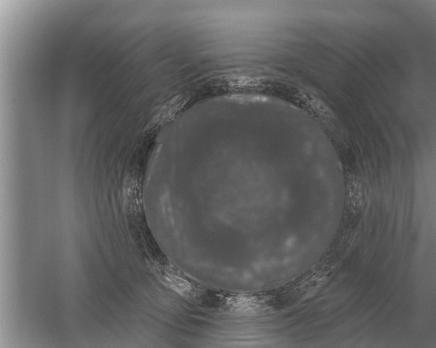 X0000052540419200507152138