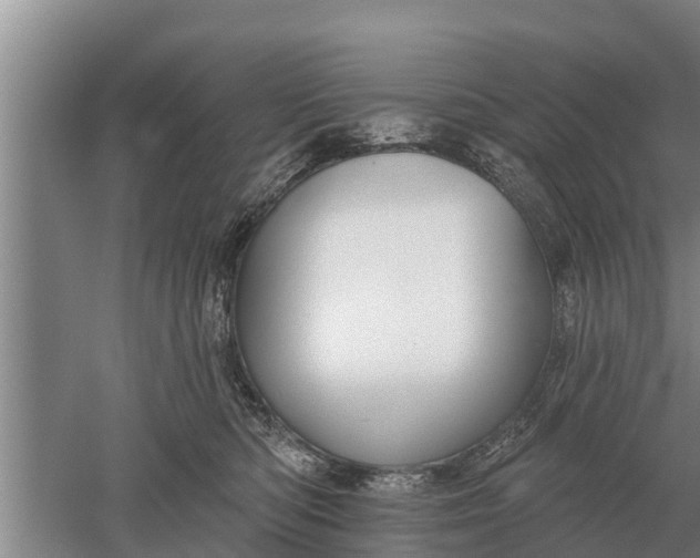 X0000052540422200507152138