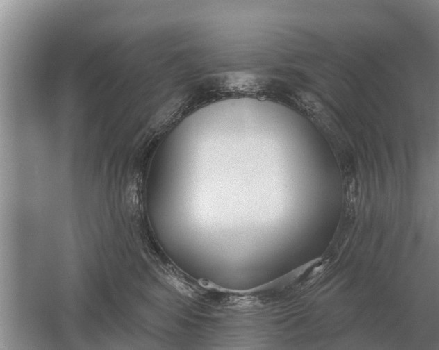 X0000052540424200507152138