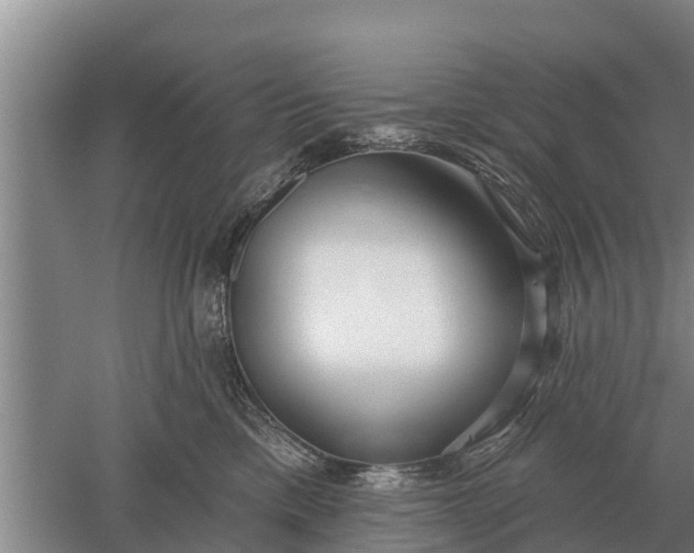 X0000052540425200507152138