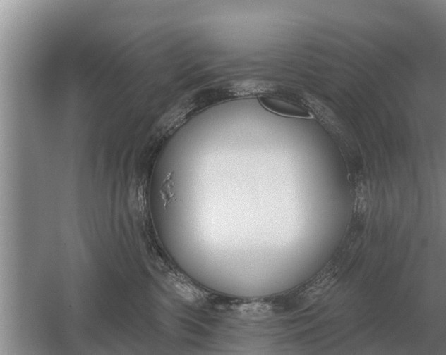 X0000052540426200507152138