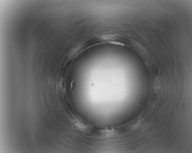 X0000052540428200507152138