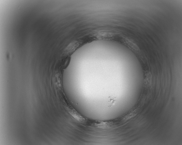 X0000052540430200507152138