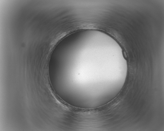 X0000052540433200507152137