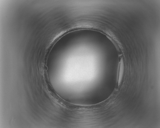 X0000052540434200507152137