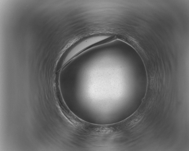 X0000052540443200507152137