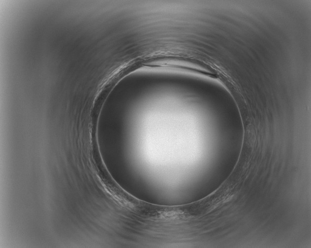 X0000052540446200507152137