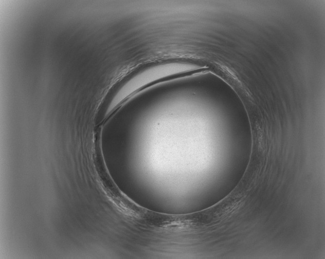 X0000052540447200507152137