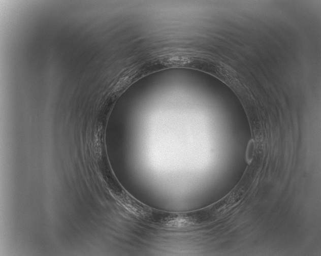 X0000052540460200507152137