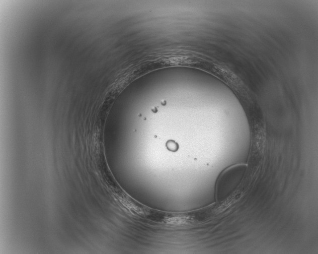 X0000052540461200507152137