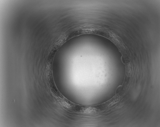 X0000052540463200507152137