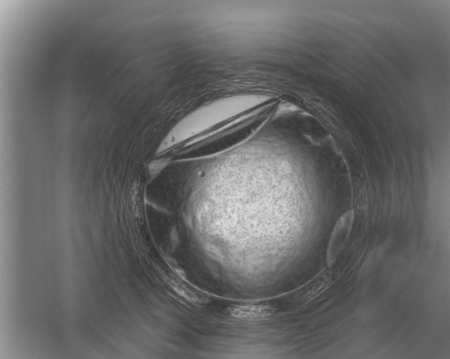 X0000052540465200507152137