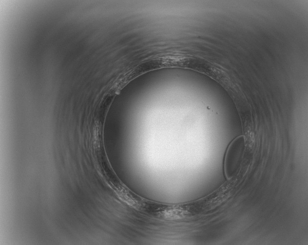 X0000052540468200507152137