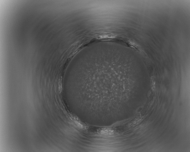 X0000052540471200507152137