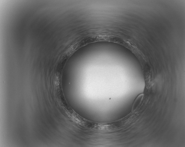 X0000052540472200507152137