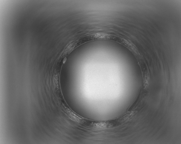 X0000052540473200507152137