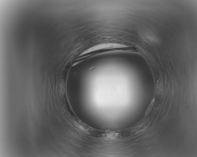 X0000052540474200507152137