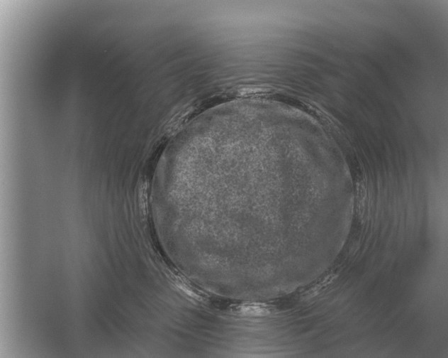 X0000052540475200507152137